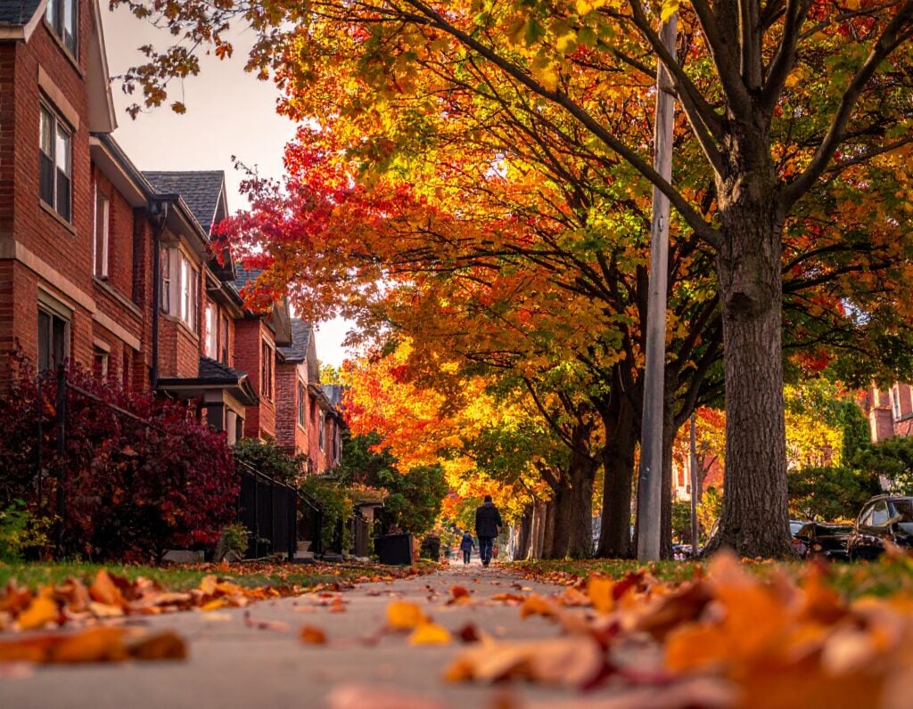 Tree-lined residential street with brick semi-detached homes in Toronto's east end, representing neighbourhood mortgage financing options for Mortgage Brokers Toronto clients.